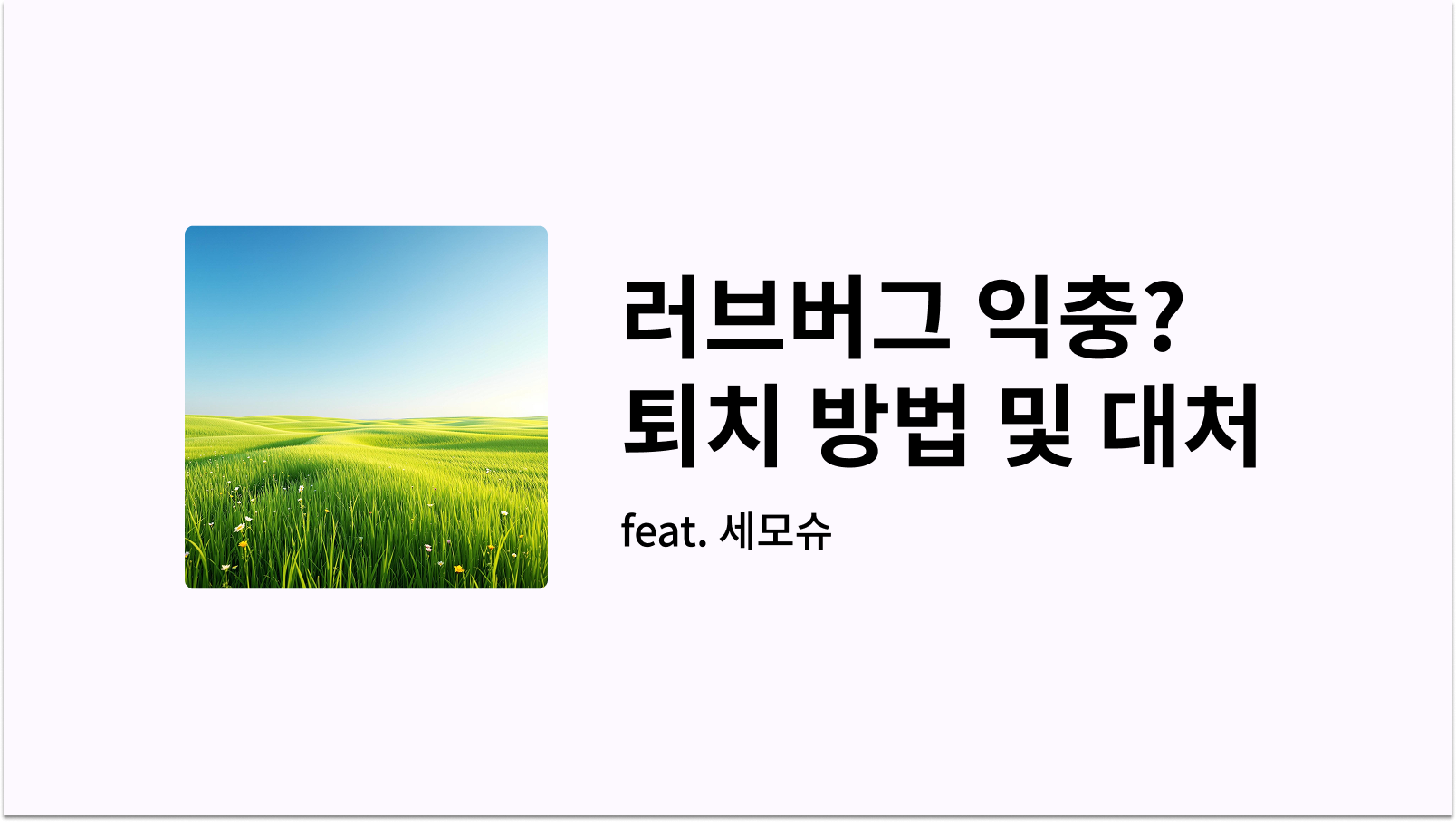 사랑벌레 퇴치 익충 관련 썸네일 사진