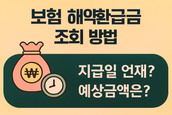 보험 해약환급금 조회 방법