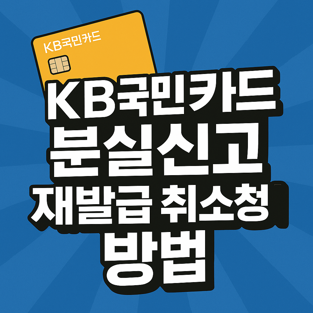 KB국민카드 분실신고 재발급
