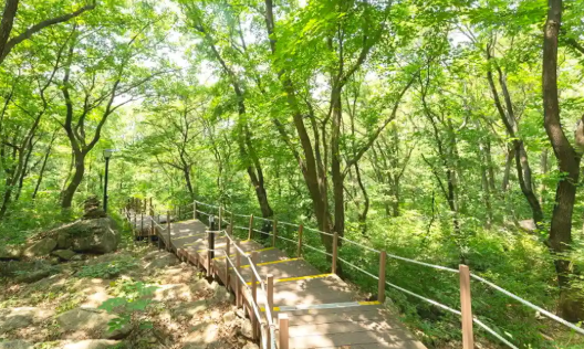 바라산자연휴양림 의왕 예약 야영장 바베큐 신청 바로가기 1 image 7