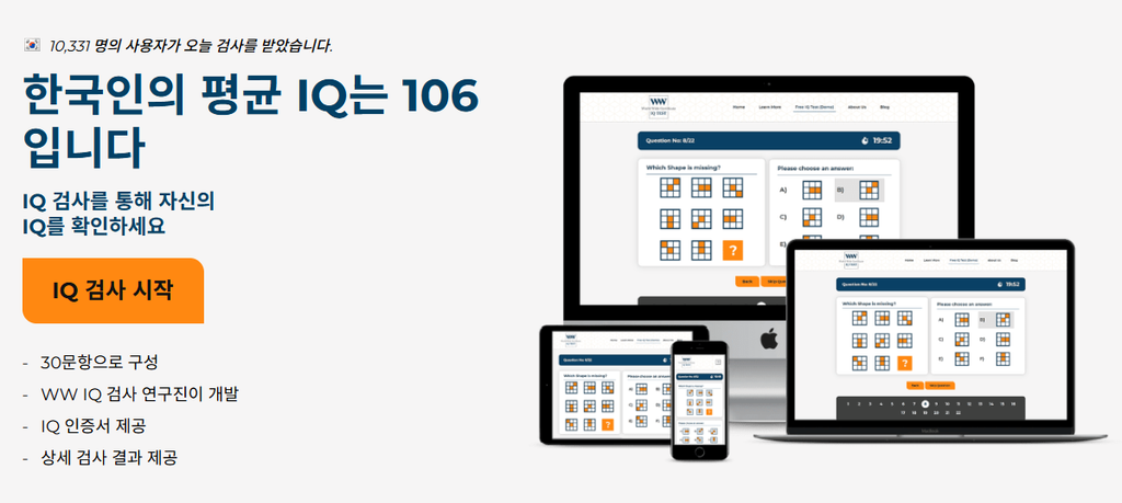 IQ 테스트 검사 화면